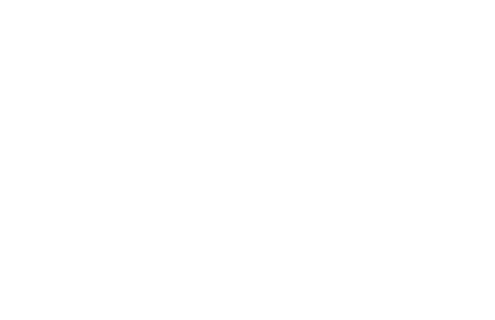Schwerdtfeger Consulting